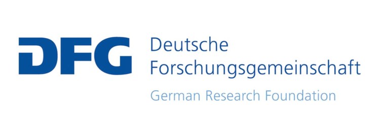 logo-dfg-data.jpg