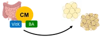 P02_graphical abstract.png