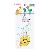P17 image3.png
