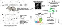 S 02