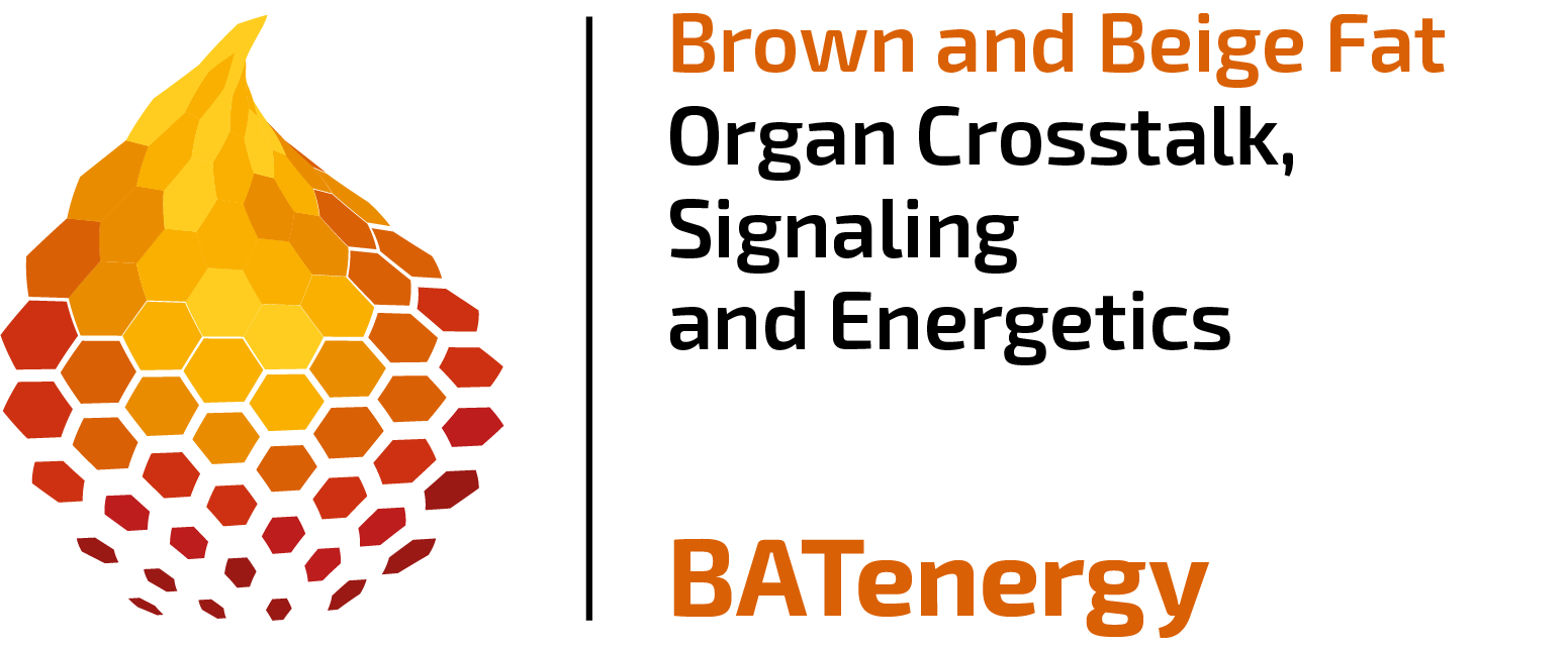 TRR333 BATenergy Logo