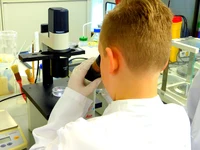 Working with the microscope